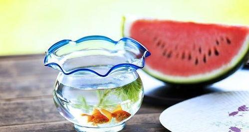 暗黑爆料吃瓜,娱乐圈吃瓜盛宴，揭秘明星幕后真相