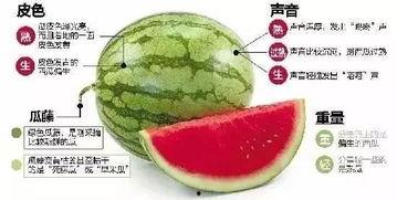 昆明微信吃瓜爆料,揭秘网络热点背后的真相